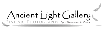 Ancient Light Gallery