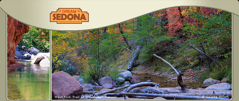 West Fork Trail Oak Creek Canyon in Sedona AZ
