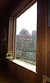 Window