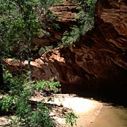 Oak Creek Picture
