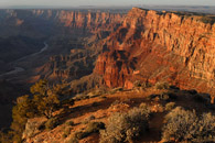 View of Colorado River From Desert View Point