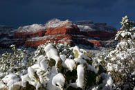 Boynton Canyon Winter