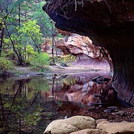 West Fork Trail