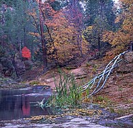 West Fork Oak Creek