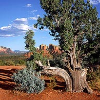 Sedona Arizona