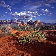 View of Sedona Redrocks