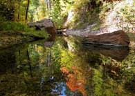Oak Creek Refelctions