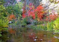 Oak Creek In The Fall