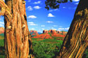 Picture of Sedona's Red Rocks