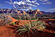 Picture of Sedona Red Rocks