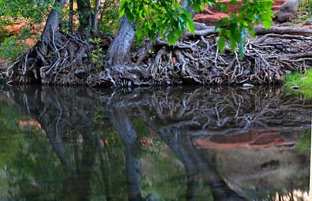 Bell Trail