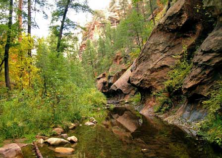 West Fork Oak Creek Trail