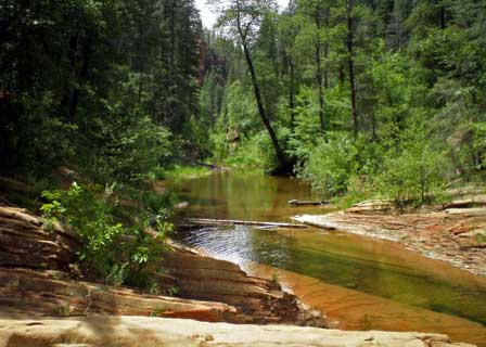 Lush Oak Creek Trail