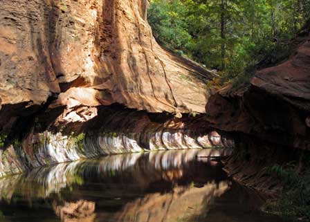 Meandering Oak Creek