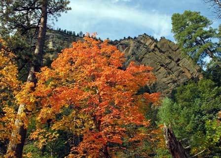 Autumn Colors On The Trail