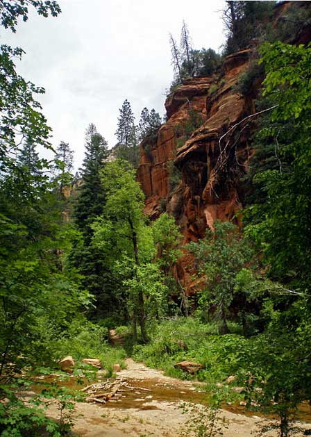 Creek Following Edge of Cliffs