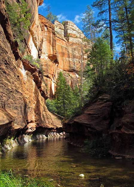 Canyon Walls Above The Trail