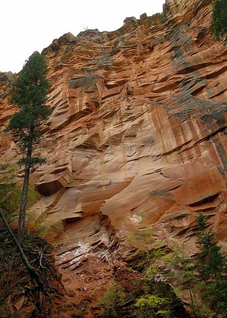 High Canyon Walls