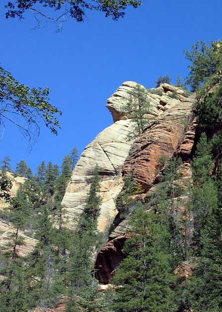 View From The Trail